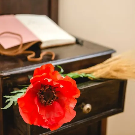 Antico Veneto 基亚拉诺