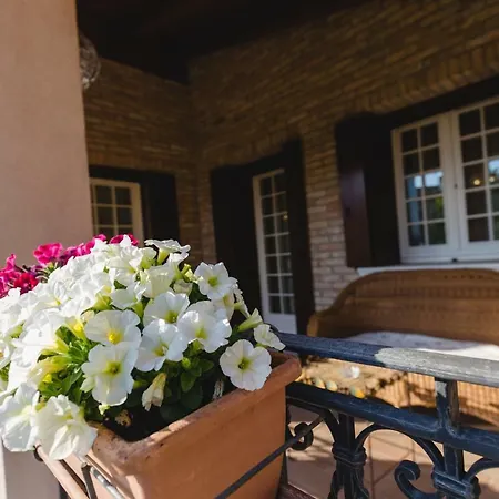 Antico Veneto 基亚拉诺